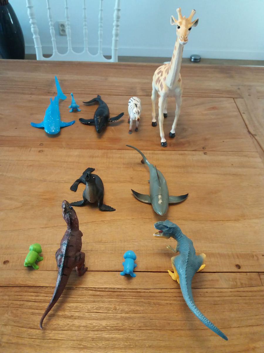 TAFEL opstelling met dieren IMG-20220614-WA0018